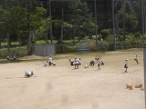 1755-1.jpg