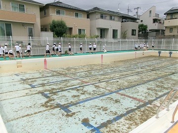 726-2.jpg