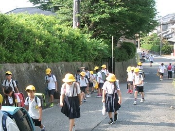 772-1.jpg