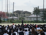 672-2.jpg
