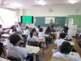 684-1.jpg