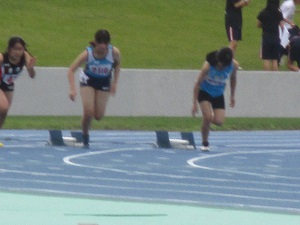 362-1.jpg