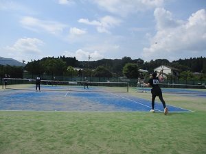 377-2.jpg