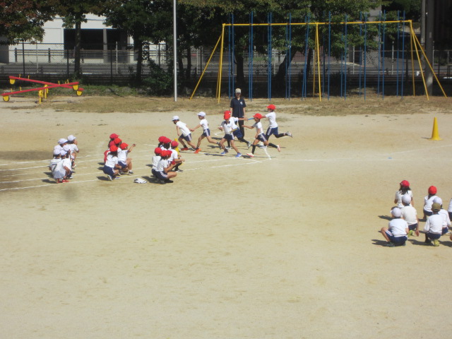 2529-1.jpg