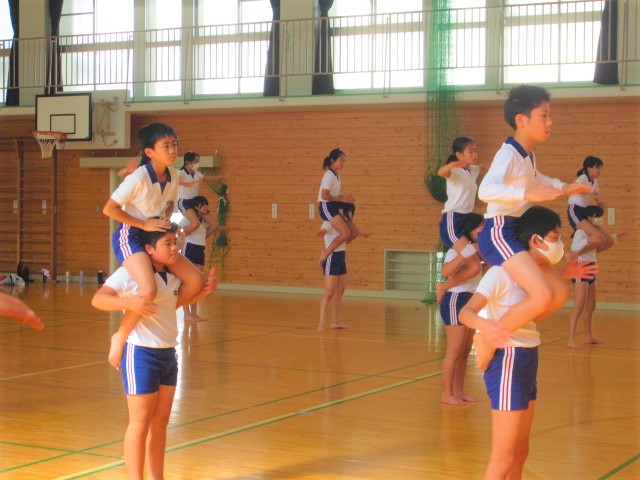 2535-3.jpg