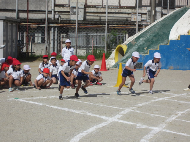 2536-2.jpg