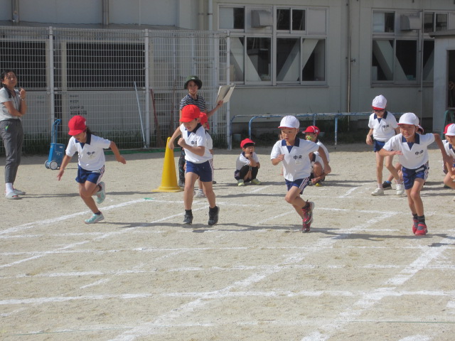 2536-3.jpg