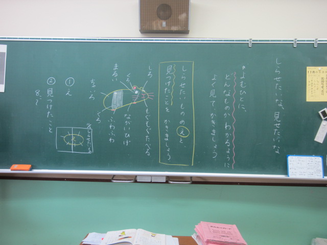 2826-2.jpg