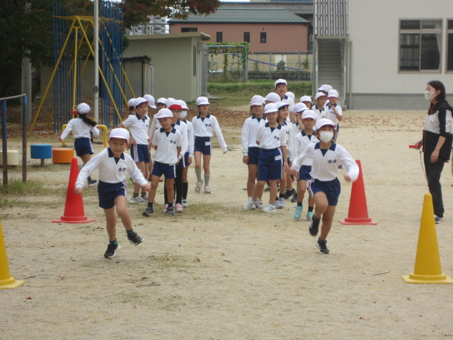 2833-2.jpg