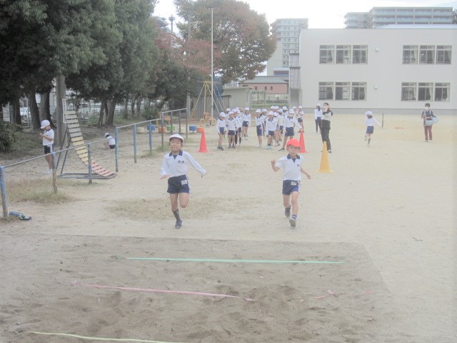 2833-3.jpg