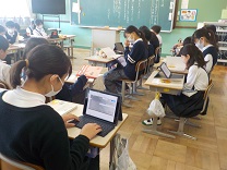 6417-2.jpg