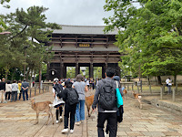 6481-3.jpg