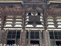 6482-3.jpg