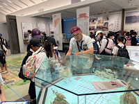6488-1.jpg