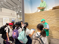 6491-1.jpg
