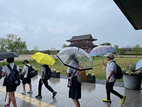 6492-2.jpg