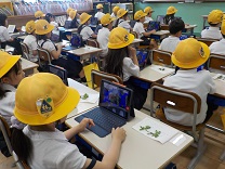 6508-2.jpg