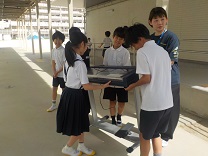 6510-1.jpg