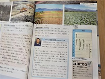 6537-3.jpg