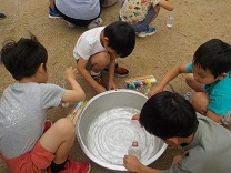 6562-1.jpg