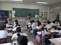 6563-2.jpg