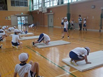 6564-3.jpg