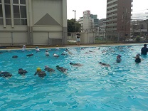 6565-3.jpg
