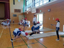 6572-1.jpg