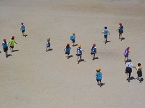6636-3.jpg