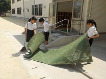 6646-2.jpg