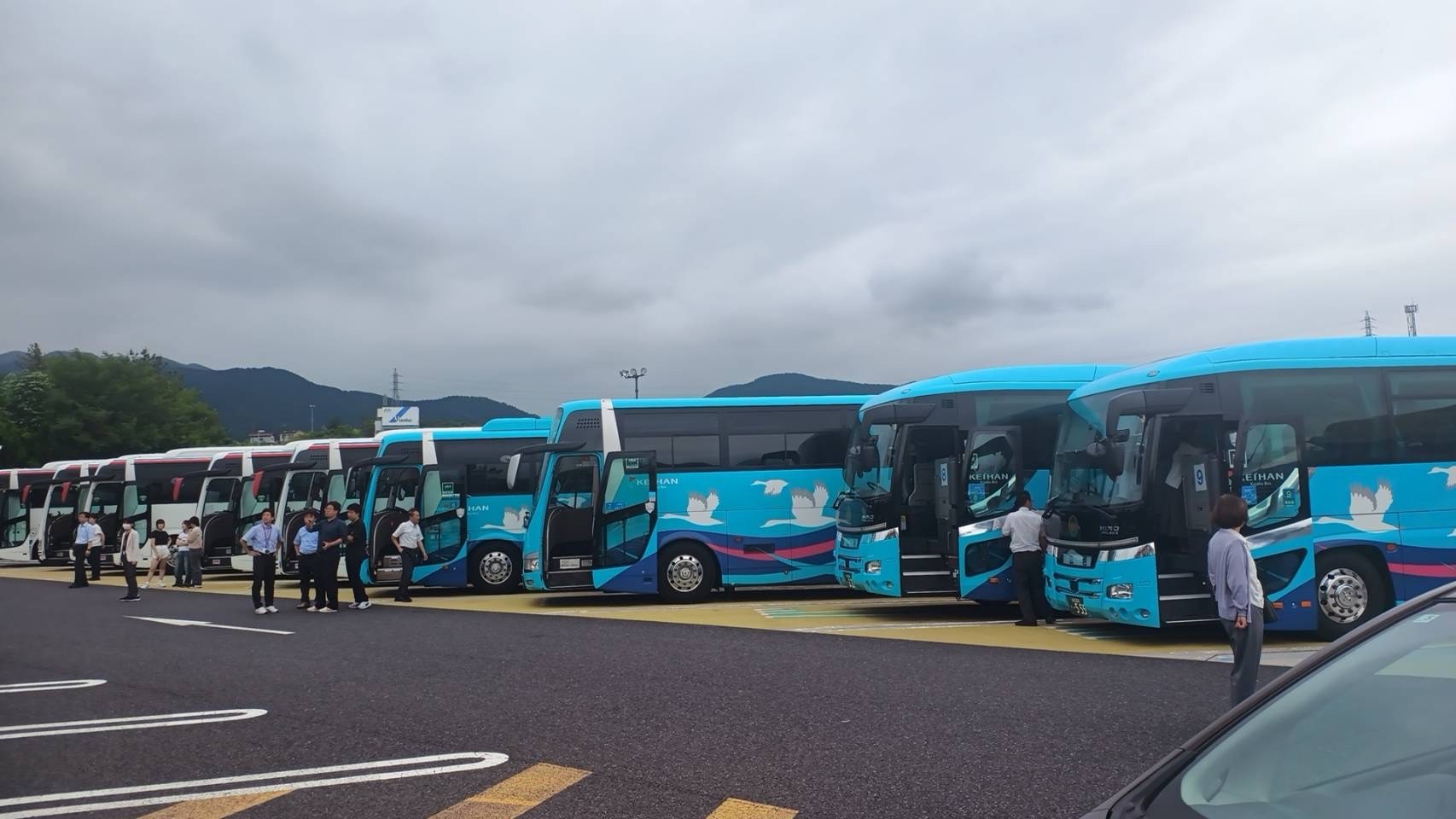 873-2.jpg