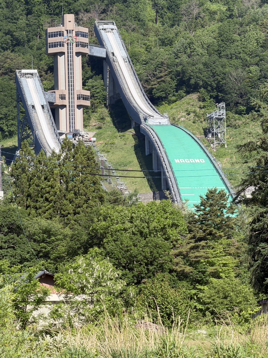 895-2.jpg