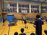 956-1.jpg