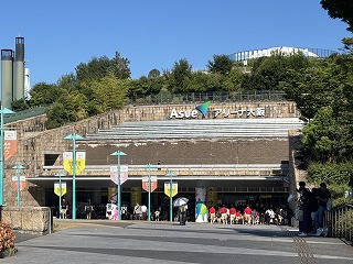 984-1.jpg